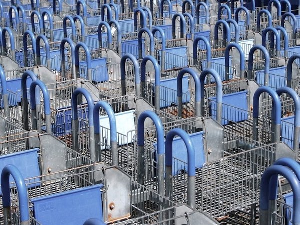 Quels facteurs influencent la valorisation d'un fonds de commerce en zone urbaine densifiée ?